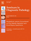 Seminars In Diagnostic Pathology期刊封面